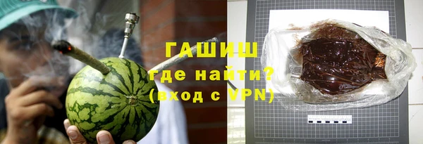 твердый Гусев