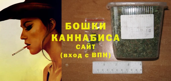 твердый Гусев