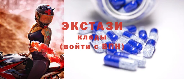 твердый Гусев