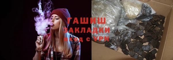 твердый Гусев