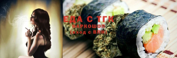 твердый Гусев