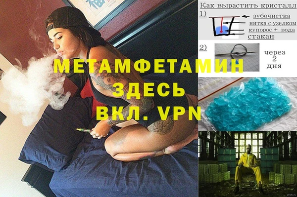 твердый Гусев