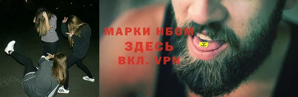 твердый Гусев