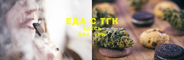 твердый Гусев