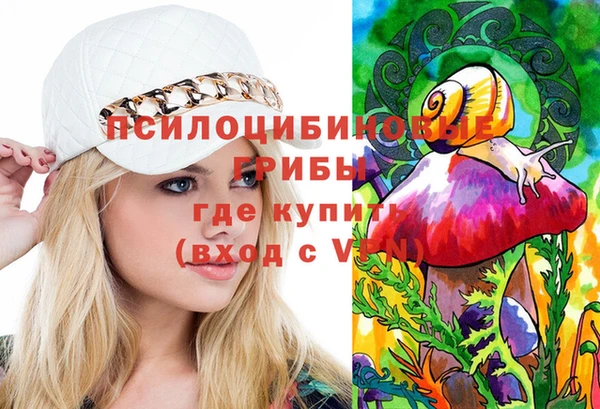 хмурый Гусиноозёрск
