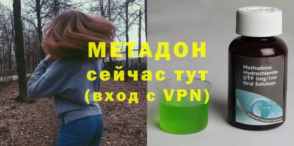 твердый Гусев