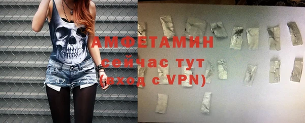 твердый Гусев