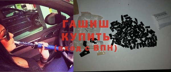 твердый Гусев