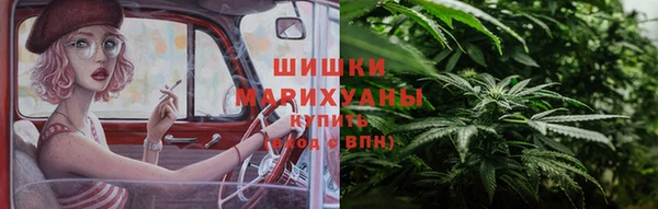 твердый Гусев