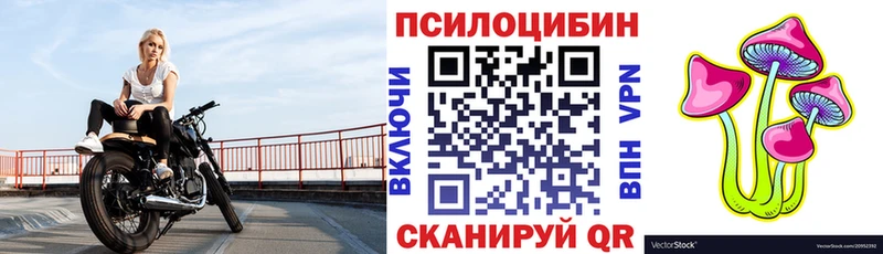продажа наркотиков  Октябрьск  Галлюциногенные грибы Psilocybe 